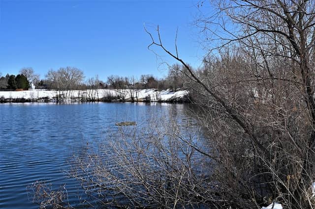 Ruston Park - Image 1