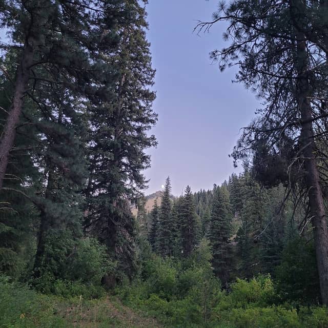 Queens River Campground - Image 1