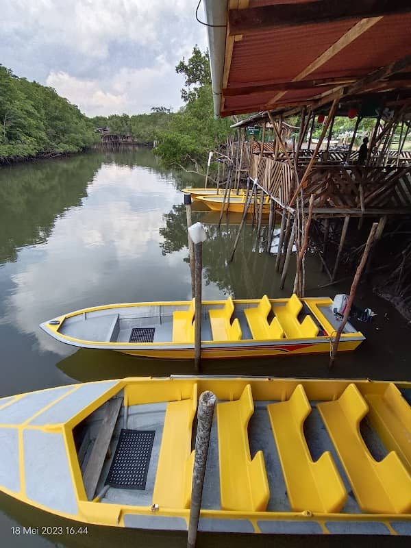 Bintan Green Mangrove Tour & Fireflies Night Tour - Image 1