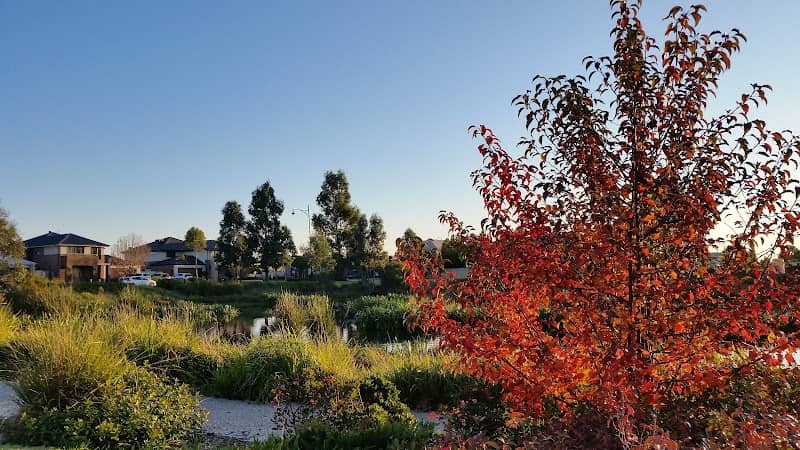 Caversham Waters Wetlands - Image 2