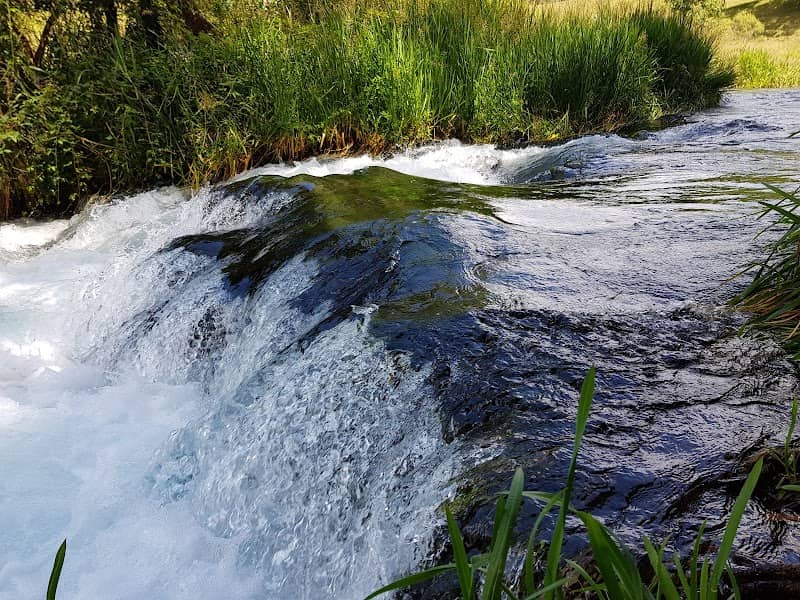 Te Waihou Rapids - Image 3