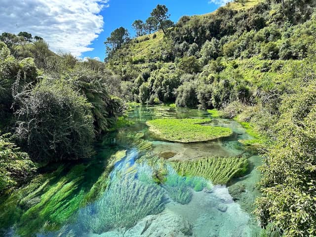Te Waihou Rapids - Image 1