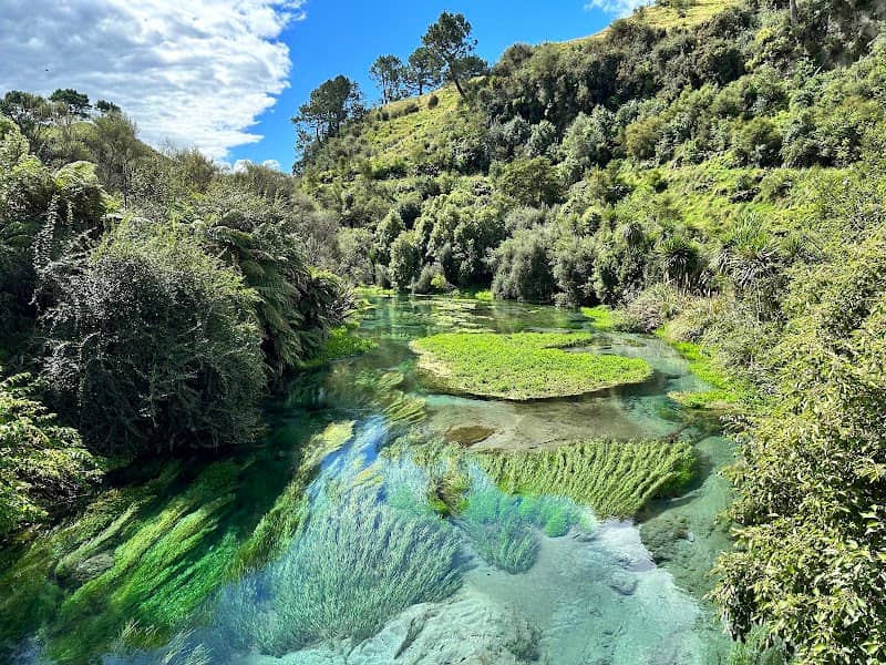 Te Waihou Rapids - Image 1