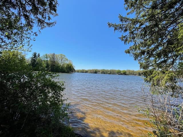 Maple Island - Image 1