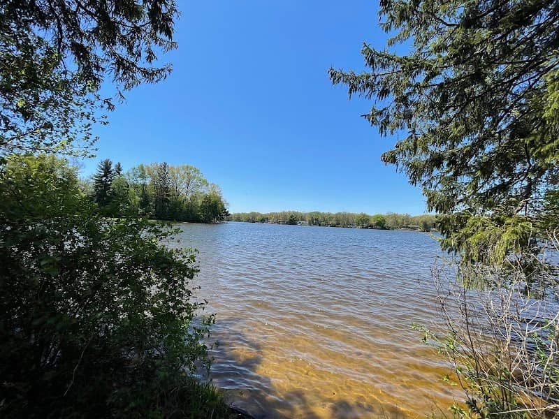 Maple Island - Image 1