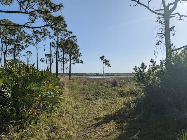 Savannas Preserve State Park - Ed Center Parking Lot - Image 1