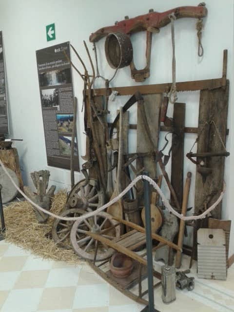 Centro di Cultura Paolo Guidotti - Image 1