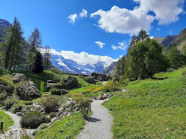 Fondation Grand Paradis - Image 1
