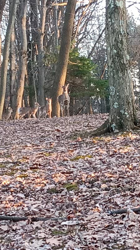 IUP Co-op Park - Image 1