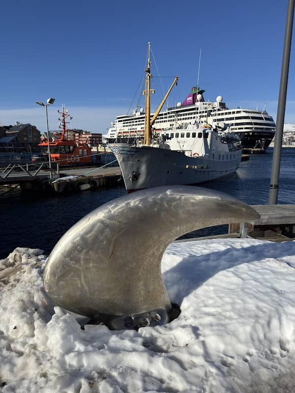 Hurtigruten propellblad - Image 1