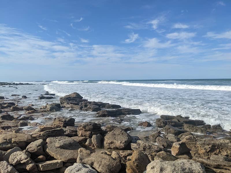 River to Sea Preserve - Image 2