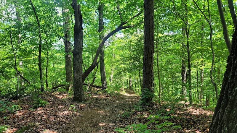 Flower Hill Nature Preserve - Image 2