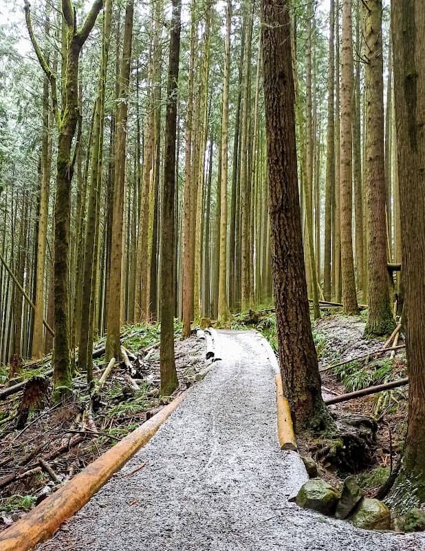 Mike Lake Trail - Image 1