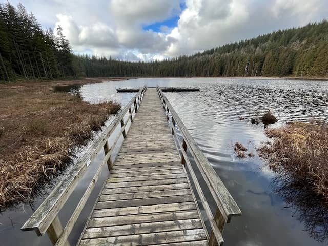 Mike Lake Trail - Image 2