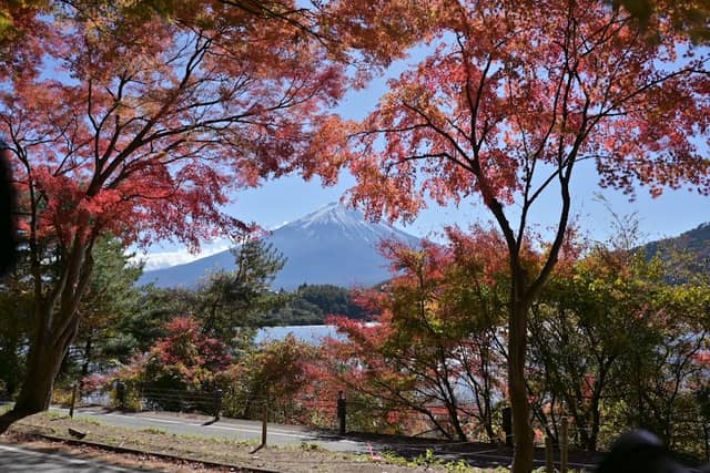 Rusugaiwa (Rusu Rock) - Image 3