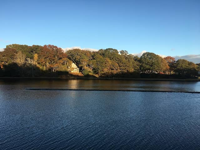 Collins Island - Image 1