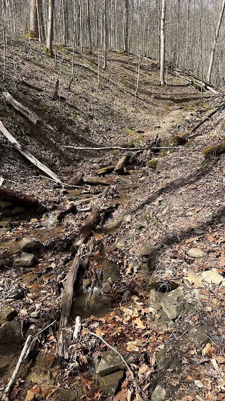 Overlook Rock Trailhead - Image 1