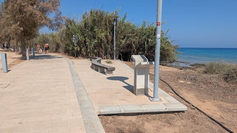 Protaras Cat Bench - Image 1