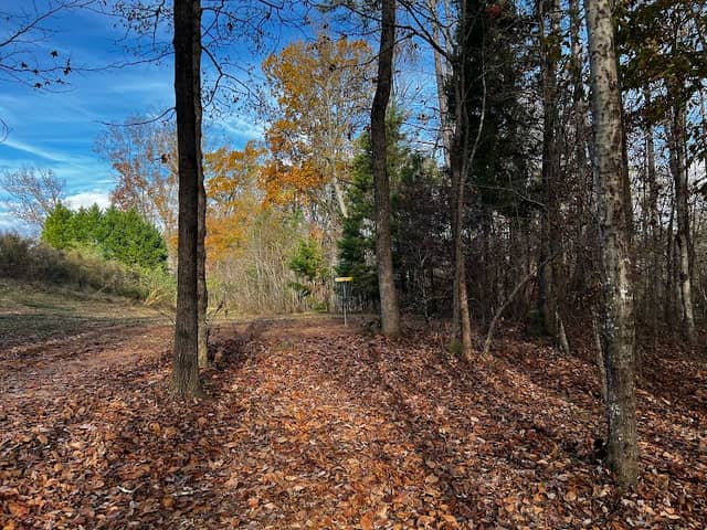 Blair Mill Park - Image 2