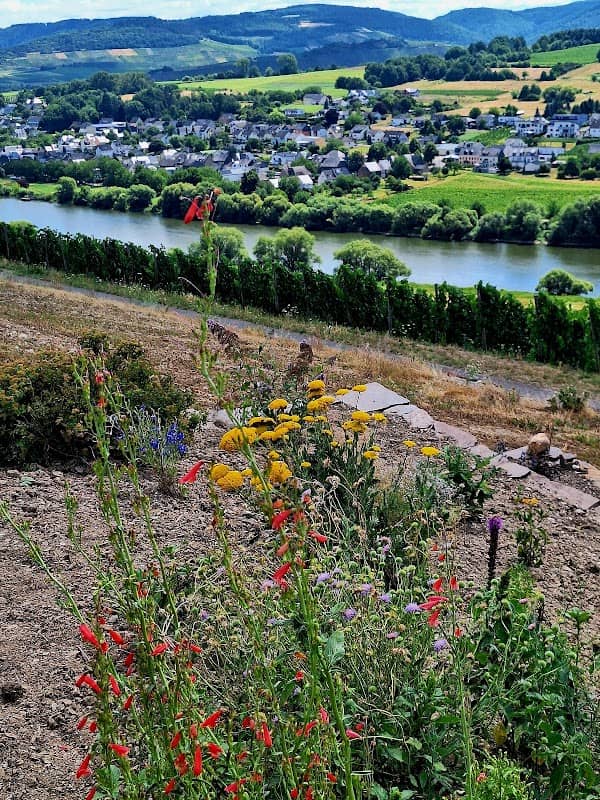 Rastplatz mit Aussicht - Image 2