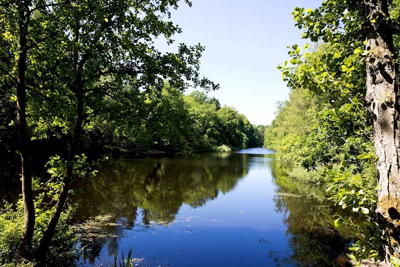 Warndtweiher - Image 1
