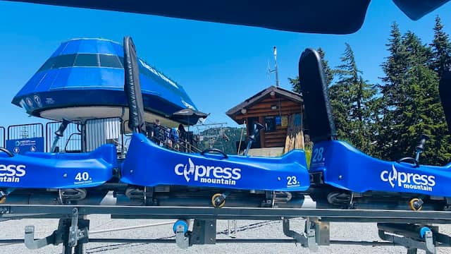 Cypress Eagle Coaster - Image 1