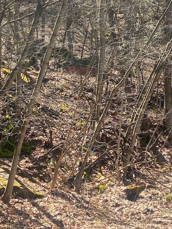 Samual Justus Trail Parking - Image 1