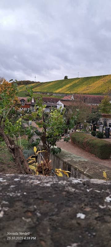 Escherndorf - Image 2