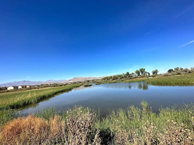 Powell Lake - Image 3