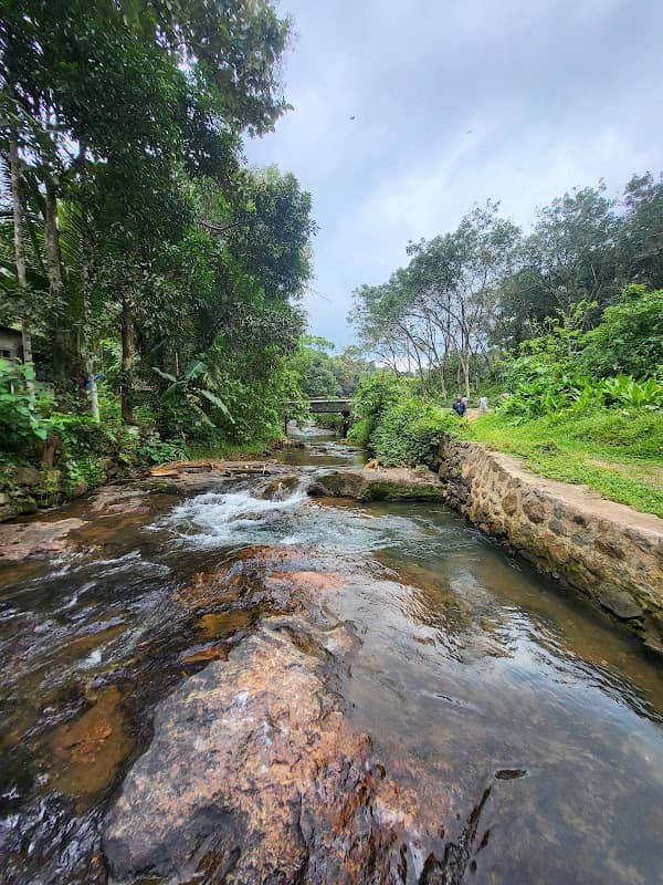 Parathodu Meenmuttippara Waterfalls | Mallappally - Image 1