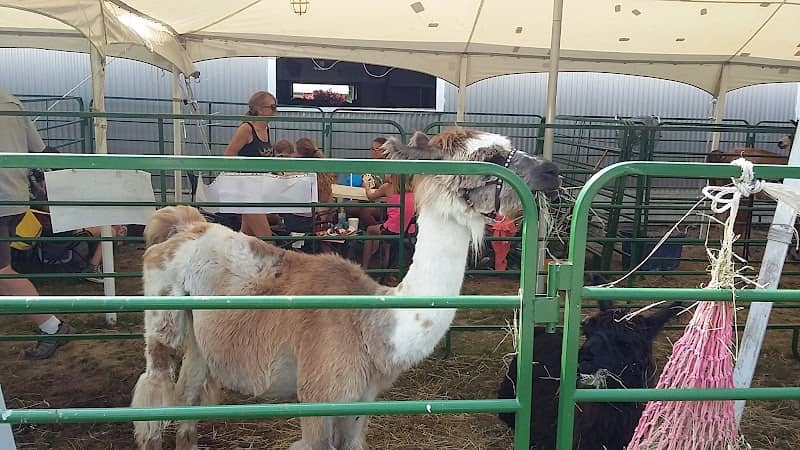 Pierce County Fairgrounds - Image 2