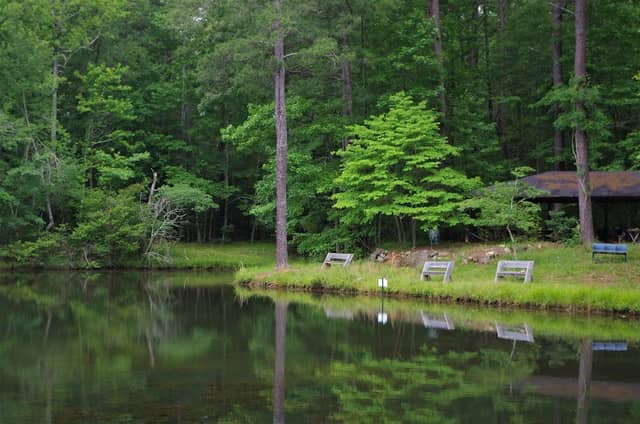 Bear Creek Nature Center - Image 2