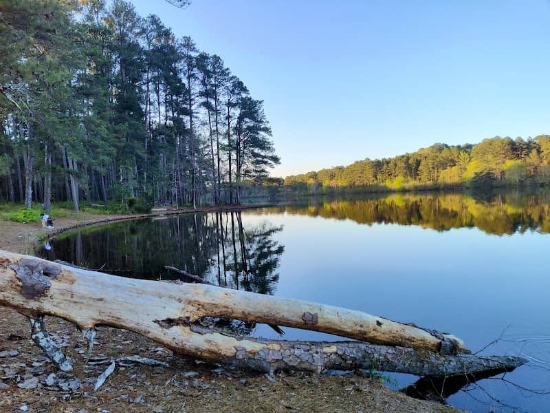 Walker County Public Lake - Image 1