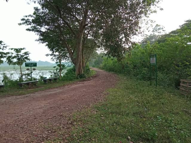 Kirala kele Rest point - Image 1