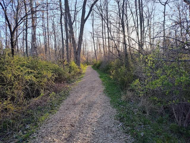 The Black River Trails - Image 1