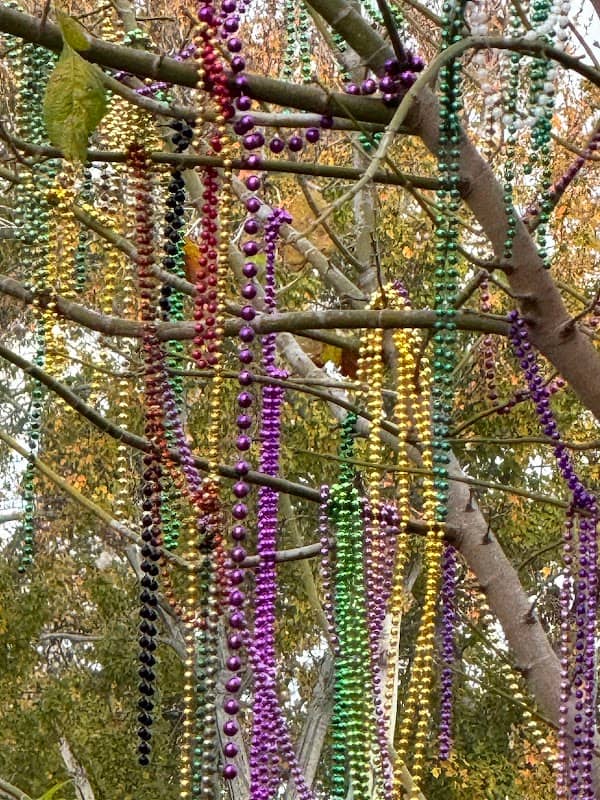 The Mardi Gras Tree - Image 2