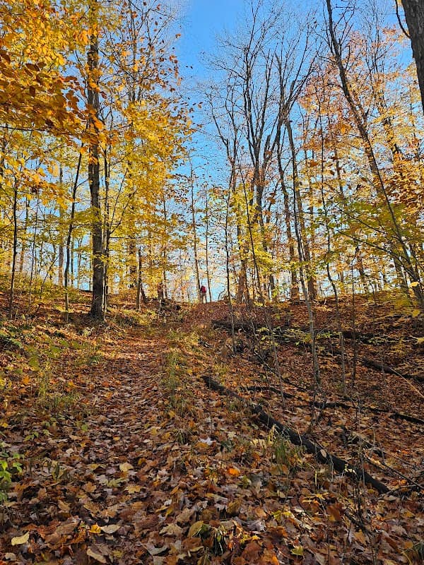 Bruce Trail - Image 1