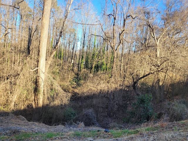 Abbey Creek Greenway - Image 1