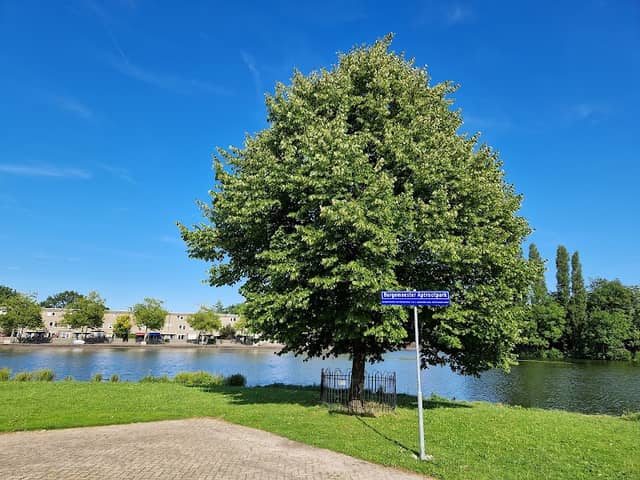 Burgemeester Aptrootpark - Image 1