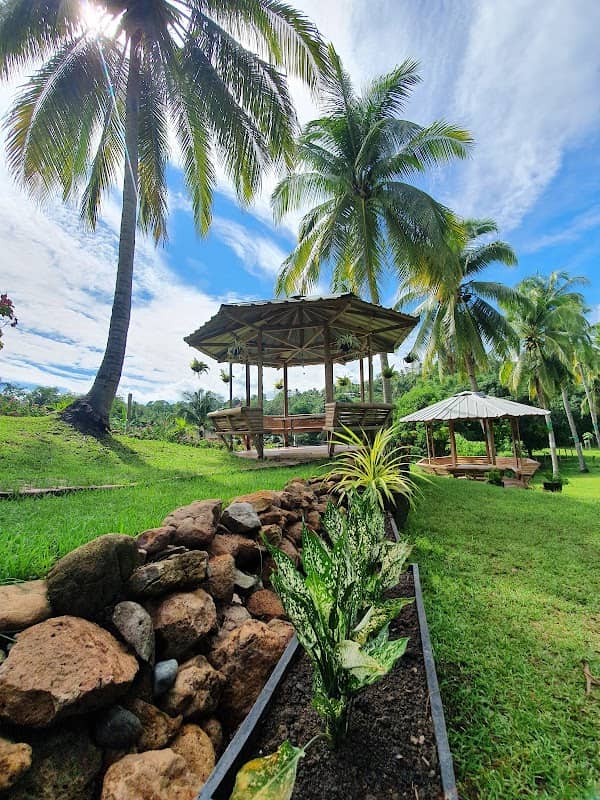 NERI FARM - Image 1