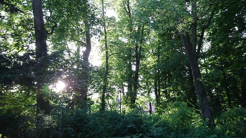 Freulebos - Image 2