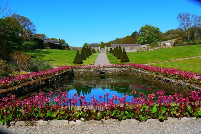 Plas Cadnant Hidden Gardens - Image 2