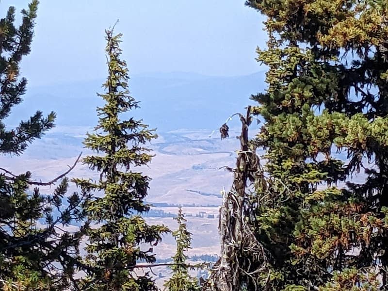 Bonaparte Mountain Trailhead - Image 2