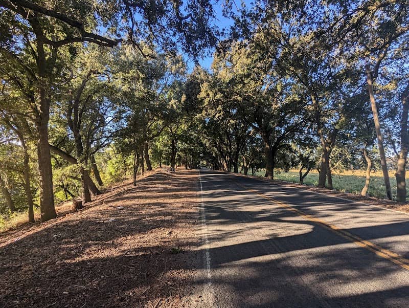 Clarksburg Oak Tunnel - Image 1