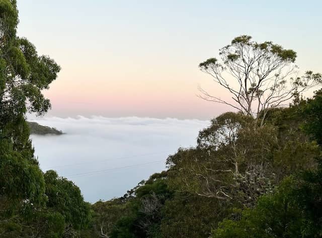 Cowan Lookout - Image 1