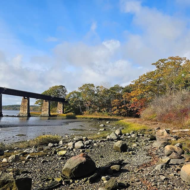Mill River Park - Image 1