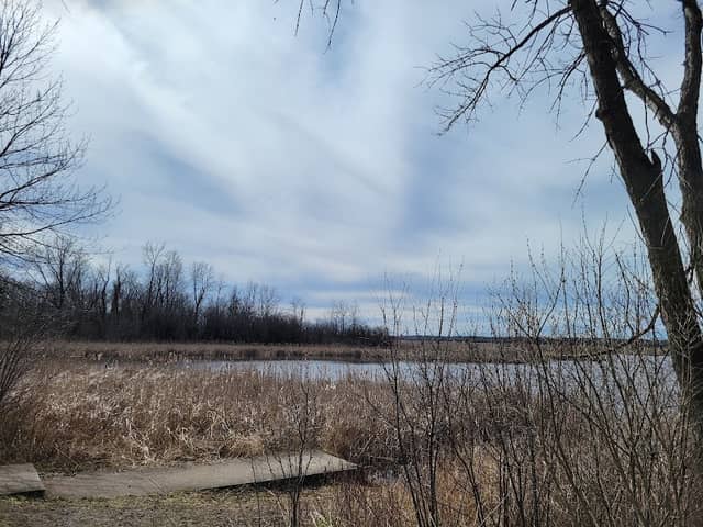 North Entrance to Brock Trail - Image 2