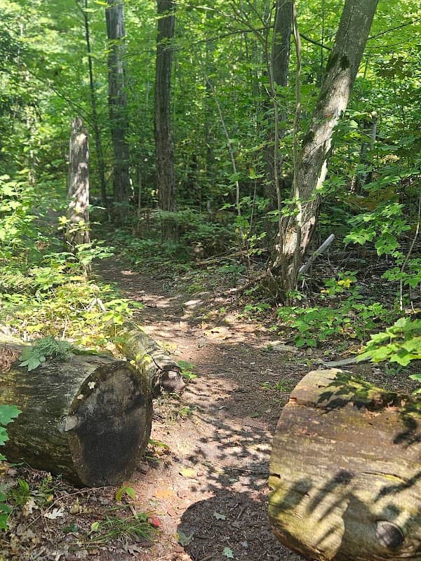 Petobego Trailhead - Image 2