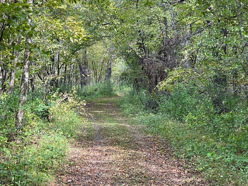Pinicon Alders Wildlife Area - Image 1