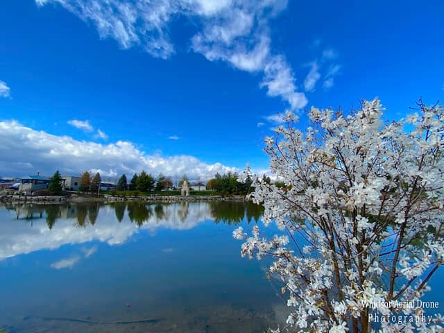 Southgateway Park - Image 1